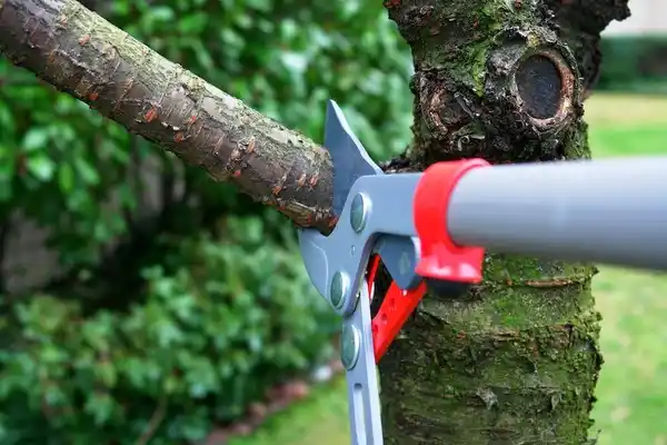 tree services Clarkrange